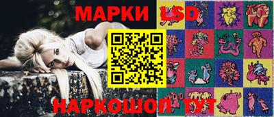 стафф Дубна