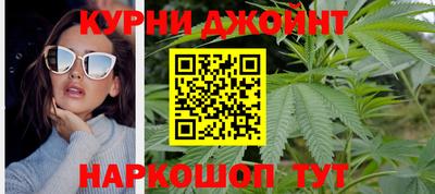 сатива Донецк