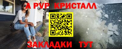 стафф Дубна