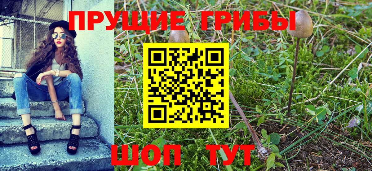 Менделеевск  Галлюциногенные грибы GOLDEN TEACHER  Вход с VPN  Псилоцибиновые грибы MAGIC MUSHROOMS 